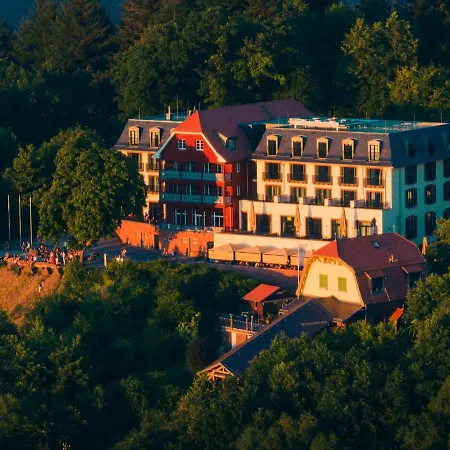 Berggasthof Koenigstuhl Hotel