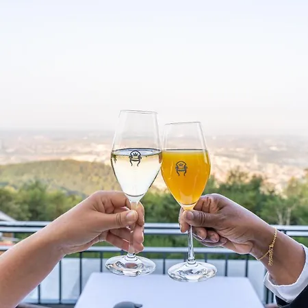 Berggasthof Koenigstuhl