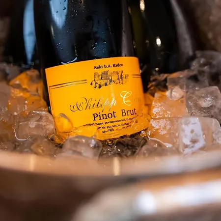 Berggasthof Koenigstuhl 酒店 4*