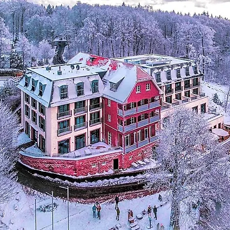 Hotel Berggasthof Koenigstuhl 4*