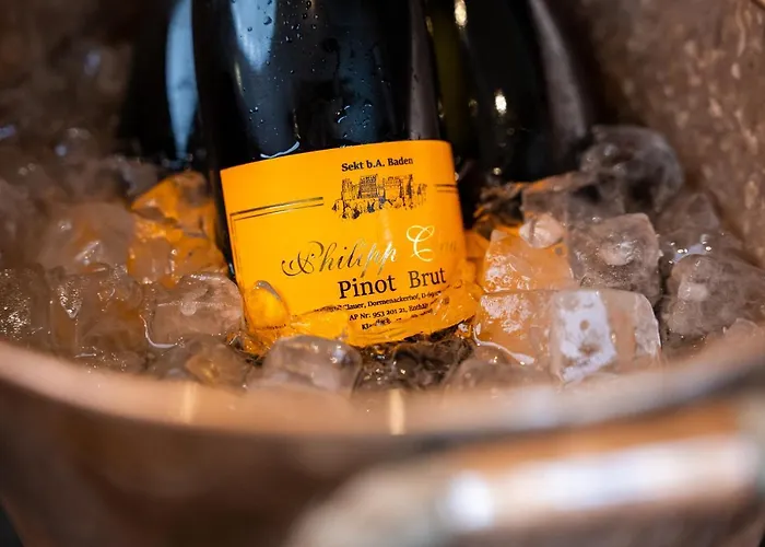 Berggasthof Koenigstuhl Hotel 4*